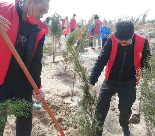 4教师志愿者共同栽下小树